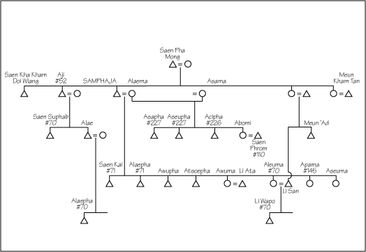 anthropolgy kinship chart